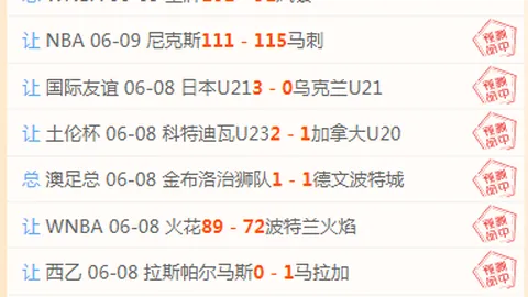 施蒂尔正式接棒欧塞尔，曾执掌兰斯及圣徒等队经验丰富